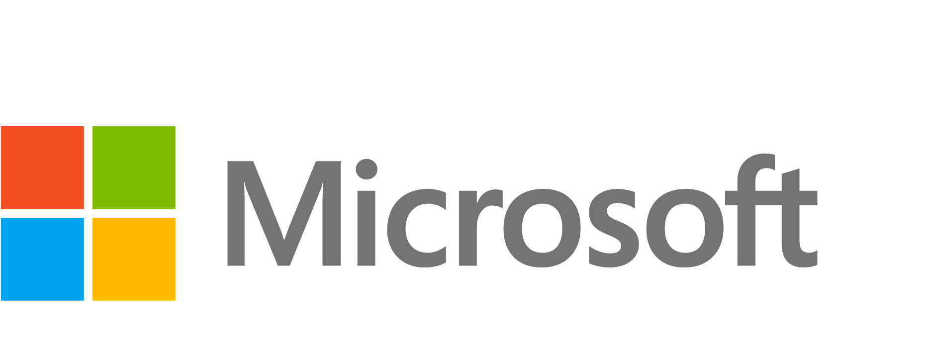 Microsoft technology partner